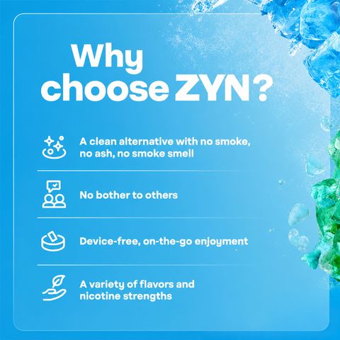ZYN Cool Mint 16.5mg (6 Dot) Max Nicotine Pouches 1 Can