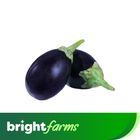 brightfarms Brinjal Round -Gol Baingan (Pakistan) 500g