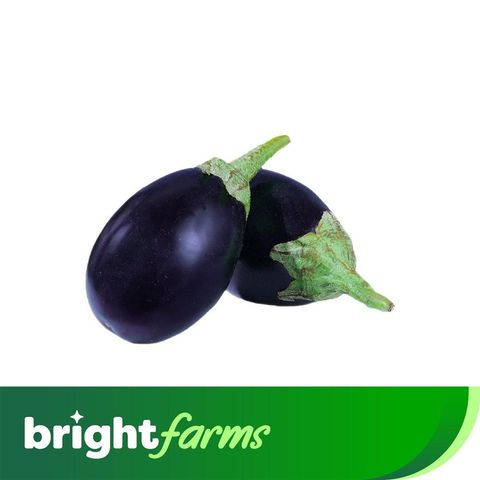 brightfarms Brinjal Round -Gol Baingan (Pakistan) 500g