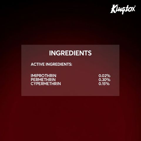 Kingtox Crawling Insect Killer Spray 600ml