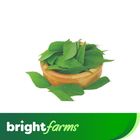 brightfarms Curry Leaves (Karhi Patta) 100g