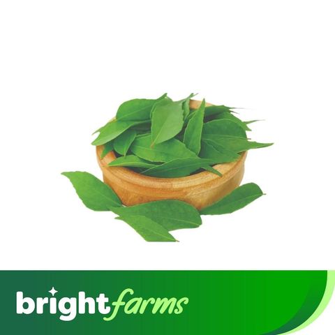 brightfarms Curry Leaves (Karhi Patta) 100g