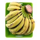 Banana (Kela) Local, 1-Dozen