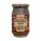 Young's Chocolaty Spread, 380g