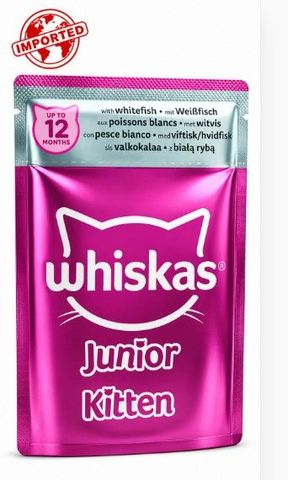 Whiskas kitten white Fish In Jelly For 2-12 Cat Food85g