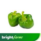 (Consume by Today) brightfarms Capsicum Green (Shimla Mirch) 250g