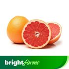 Brightfarms Fresh Grapefruit 3 Pieces