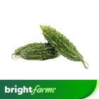 brightfarms Bitter Gourd Karela (Pakistan) 500g
