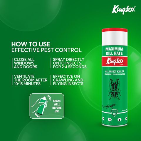Kingtox All Insect Killer Spray 300ml
