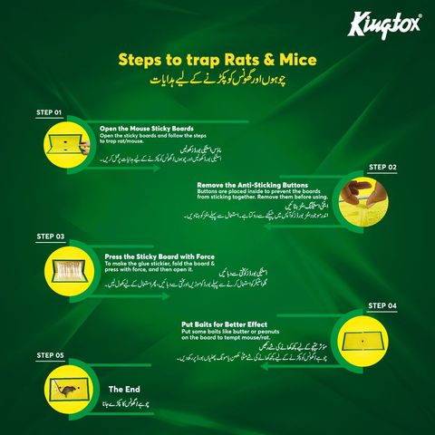 Kingtox Rat Killing Glue Trap