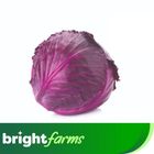 brightfarms Purple Cabbage (KPK) 500g