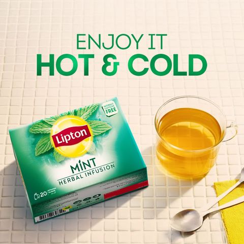 Lipton Herbal Infusion - Mint Tea - 20 Envelope Tea Bags