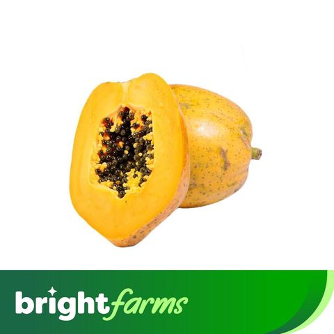 brightfarms Papaya (Pakistan) (450g-650g)