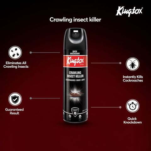 Kingtox Crawling Insect Killer Spray 300ml