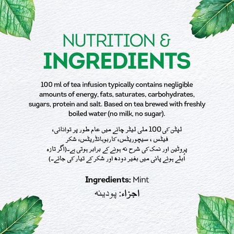 Lipton Herbal Infusion - Mint Tea - 20 Envelope Tea Bags