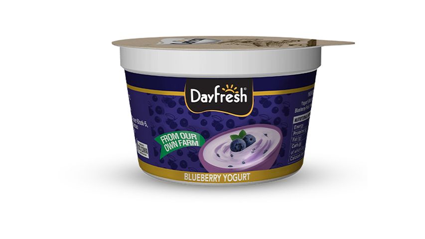 Dayfresh Yogurt Blueberry Cup 100g