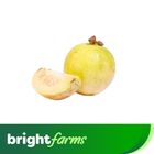 brightfarms Guava -Amrood (Pakistan) 1kg