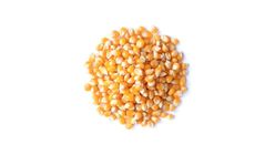 Popcorn Seed 250gm