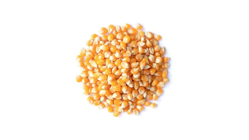 Popcorn Seed 250gm