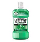 Listerine Teeth & Gum Defence Soft Mint Mouthwash 250ml