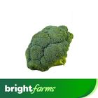brightfarms Broccoli (Swat ) 500g