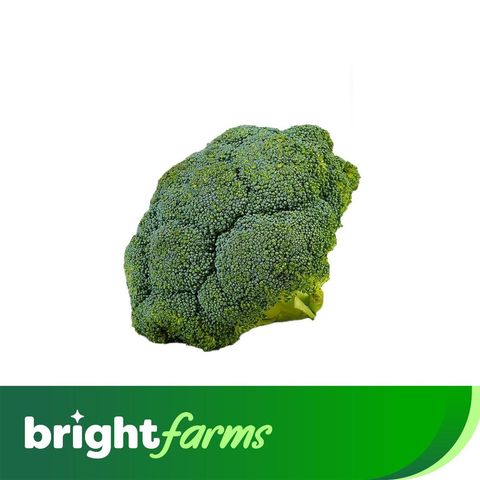 brightfarms Broccoli (Swat ) 500g
