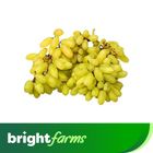 brightfarms Grapes Sunder Khani (Indian - Imported) 500g