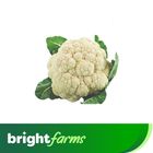 brightfarms Cauliflower Phool Gobi Piece (500-700g)