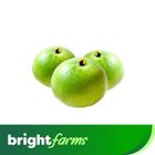 brightfarms Apple Gourd -Tinda (Pakistan) 500g