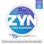 ZYN Cool Blueberry 6mg (2 Dot) Medium Nicotine Pouches 1 Can