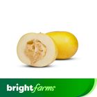 brightfarms Sweet Melon - Kharbooza (Sindh) ( 500g - 600g )