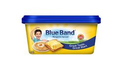 Blue Band Regular Margarine 500g