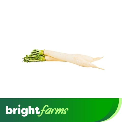 brightfarms White Radish (Mooli) - 500g-700g
