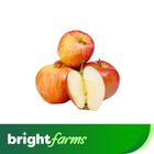 brightfarms Apple Gacha 1kg�