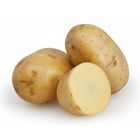 Potato New 1 kg - 22989