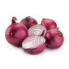 Onion Regular 1 kg - 20120