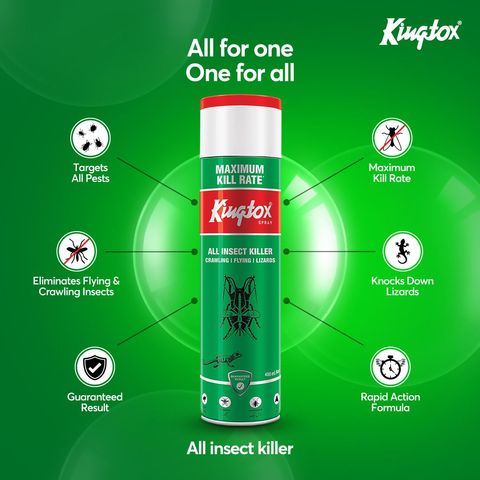 Kingtox All Insect Killer Spray 400ml
