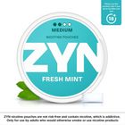 ZYN Fresh Mint 6mg (2 Dot) Medium Nicotine Pouches 1 Can