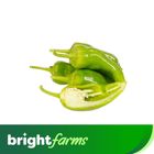 Brightfarms Green Chilli Thick 500g