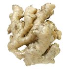 Bentong Ginger Thailand 1pc