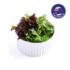 brightfarms Mesclun Mix 100g