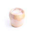 brightfarms Coconut Jelly 500g