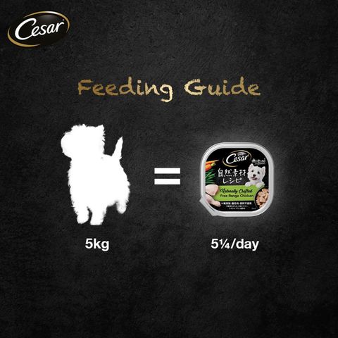 Cesar Naturally Crafted Chicken Canned Dog Wet Food 85g
