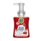 Dettol Rose & Cherry Handwash 250ml