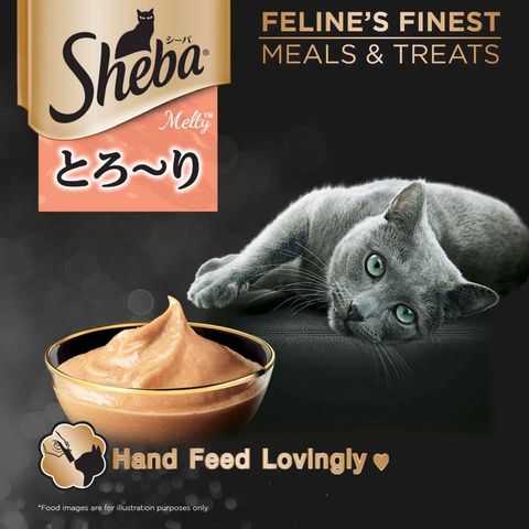 Sheba Melty Katsuo & Katsuo Salmon Cat Treats 4pcs x 12g