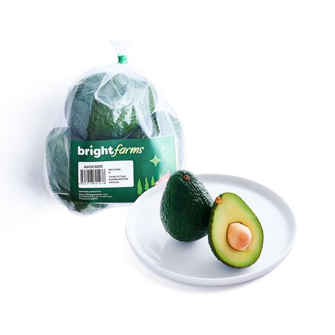 brightfarms Unripe Avocado (Stage 2-4) 3pcs