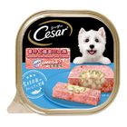 Cesar Salmon with Potato and Carrot Wet Dog Food 100g