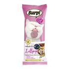 Burp! (TR0229895) Whiskerlicious Freeze Dried Lollipop Chicken & Blueberry Cat 1.4g