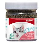 Bioline Catnip Leaves 20g 109677