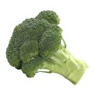 China Broccoli 1 Piece